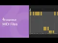 MIDI Files Loopcloud 101