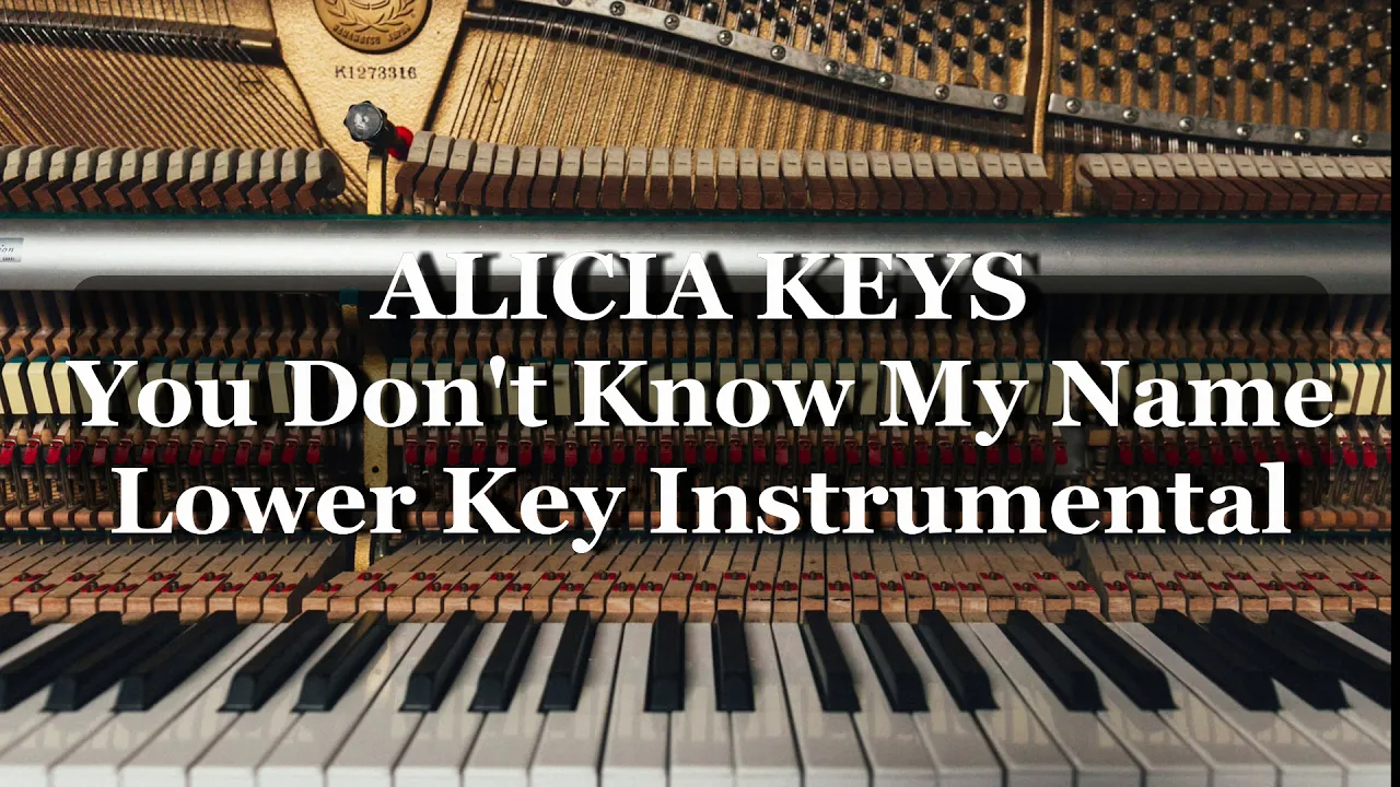 You Don't Know My Name- Alicia Keys (LOWER KEY INSTRUMENTAL/ KARAOKE)