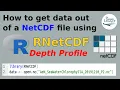 How to get data out of a NetCDF file using R depth profile