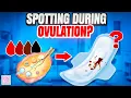Fertility Expert Answers Spotting Bleeding after ovulation