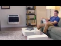 Dyna-Glo Signature Series 30 000 BTU Blue Flame Wall Heater
