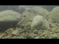 Kayaking Adventures - 8