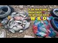 Lagu Nemu Spot Bahagia Lagi di WKO | Ikan Makan Rakus 