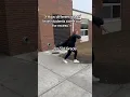 Kindergarten is feral