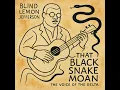 That Black Snake Moan