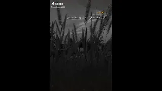 عاشت ايدك حالات واتس اب انستغرام فيسبوك 