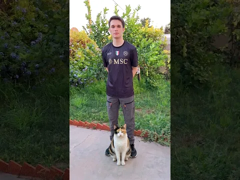 MI HIJO elige sus conjuntos favoritos y las zapatillas perfectas en SHEIN