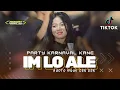 Download Lagu DJ IM LO ALE PARTY BASS WER AMUNISI KARNAVAL 2024 YANG KALIAN TUNGGU‼️