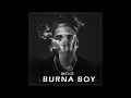 Download Lagu Burna Boy - Common Person