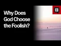 Why Does God Choose the Foolish