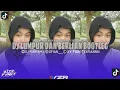 Lagu DJ LUMPUR DAN BERLIAN BOOTLEG MENGKANE VIRAL TIKTOK 2025 - [FIAN REMIX FT ALDI FVNKY]