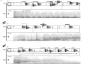 Download Lagu T-totum (2009) for snare drum and electronics [w/ score]