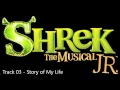 Download Lagu Track #3 - Story of My Life