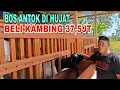 Download Lagu BOS ANTOK BELI KAMBING 37,5 JT.DI SERANG  HUJATAN....