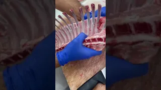 طريقة سهلة لتقطيع ريش الخروف كالمحترفين 