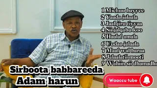 Adam Harun Sirboota Isaa Babbareeda Kan Jalaala Best Oromo Music Collections 2025 