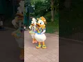 Download Lagu DONALD N DAISY DUCK #donaldduck #daisyduck #disneyland #donald #fyp