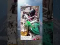 Download Lagu Alleen al door ernaar te kijken, word ik kriebelend