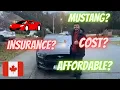 MUSTANG COST MAINTENANCE AFFORDABLE