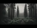 Download Lagu Jacob and the Stone // slowed and reverb (1 hour with rain)