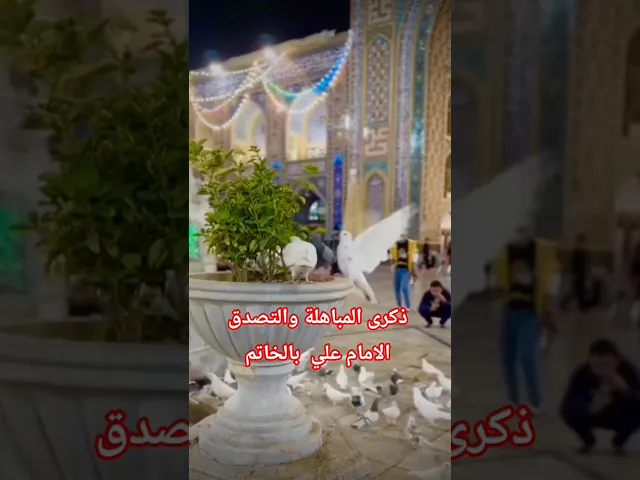 #الشيخ جعفر الابراهيمي الابراهيمي  يوم مباهلة