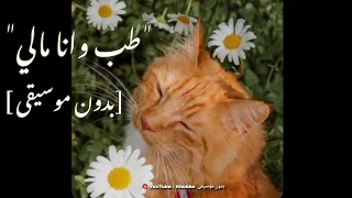 طب وانا مالي ـ وردة الجزائرية بجودة عالية بدون موسيقى  طب وانا مالي ـ وردة الجزائرية بجودة عالية بدون موسيقى