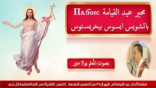                                                                                                دندنها