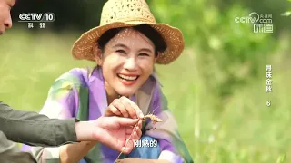 一道火爆春蚕肚 成菜状若春蚕《味道》 20261006 | 美食中国 Tasty China