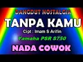Download Lagu Tanpa Kamu - Imam S.Arifin (KARAOKE)