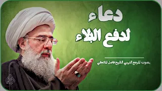 دعاء لدفع البلاء المرجع الديني الشيخ فاضل المالكي 