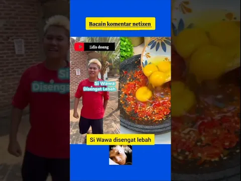 bacain komentar netizen #ompedvisual