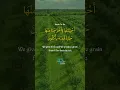 Download Lagu Surah Yasin, v 33-36, recitation by Sheikh Mukhtar Al Hajj #quran #islam #qurandaily #islamicstatus