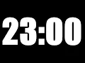23 MINUTE TIMER LOUD ALARM
