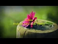 Iklim - Bukan Aku Tak Cinta