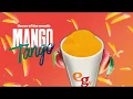 Healthy Wrap Trio - Rapper