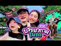 Lagu บรรยากาศในรถ Ep.32 🚗 ตอนขับรถไฟฟ้าตอนเช้า สามพ่อแม่ลูกในหมู่บ้าน 2 วัน 👨🏻👩🏻👶🏻 l Bew Varaporn