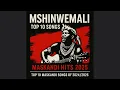 Lagu Mshinwemali Top 10 Songs | Maskandi Hits 2025 | Top 10 Maskandi Songs of 2024/2025