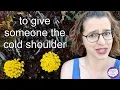 Idiom - to give someone the cold shoulder