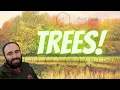 Trees in Java Binary search tree definitions code and an experiment comparing it to an array