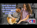 Workforce of Tomorrow at Hays CISD CTE