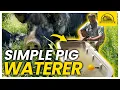 The Easy Pastured Pig Waterer with No Waste