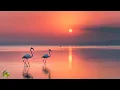 Download Lagu Сборник ЛУЧШИХ Мелодий от которых мурашки по телу! Мелодия Души! Красивая музыка для души #музыка