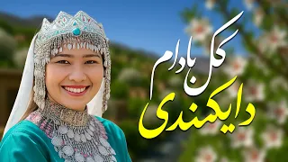 آهنگ بسیار جدید و تازه گل بادام دایکندی Gol Badam Daikundi Song 