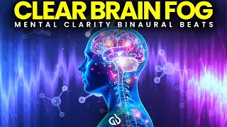Mental Clarity Binaural Beats Eliminate Brain Fog with Powerful Frequencies 40 Hz Binaural Beats