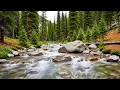 Lagu Verfrissende sfeer | Riviergeluiden Vogels fluiten in de bosstroom voor ochtendroutine en focus