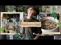 3 Herbal Protection Spells for a Green Witch s Home