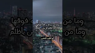 حكمة اليوم اقتباسات حكم اقوال موعظة ثقف نفسك النجاح النجاح تعلم اوسكار Youtubeshorts 