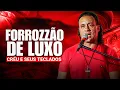 Download Lagu CRÉU E SEUS TECLADOS FORROZÃO DE LUXO VOLUME 08