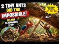 Tiny Ants Did the IMPOSSIBLE Smart Teamwork Story