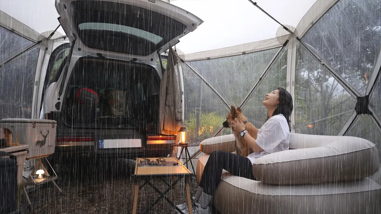 비 내리는 산속에서 나 홀로 우중 차박캠핑🚙 / 헌 차 보내드리고 새 차 모셔왔습니다 / 대하 굽고 가리비에 초장 모짜렐라 치즈뿌려 혼술캠핑 / 포천 유식물원 캠핑장 サムネイル